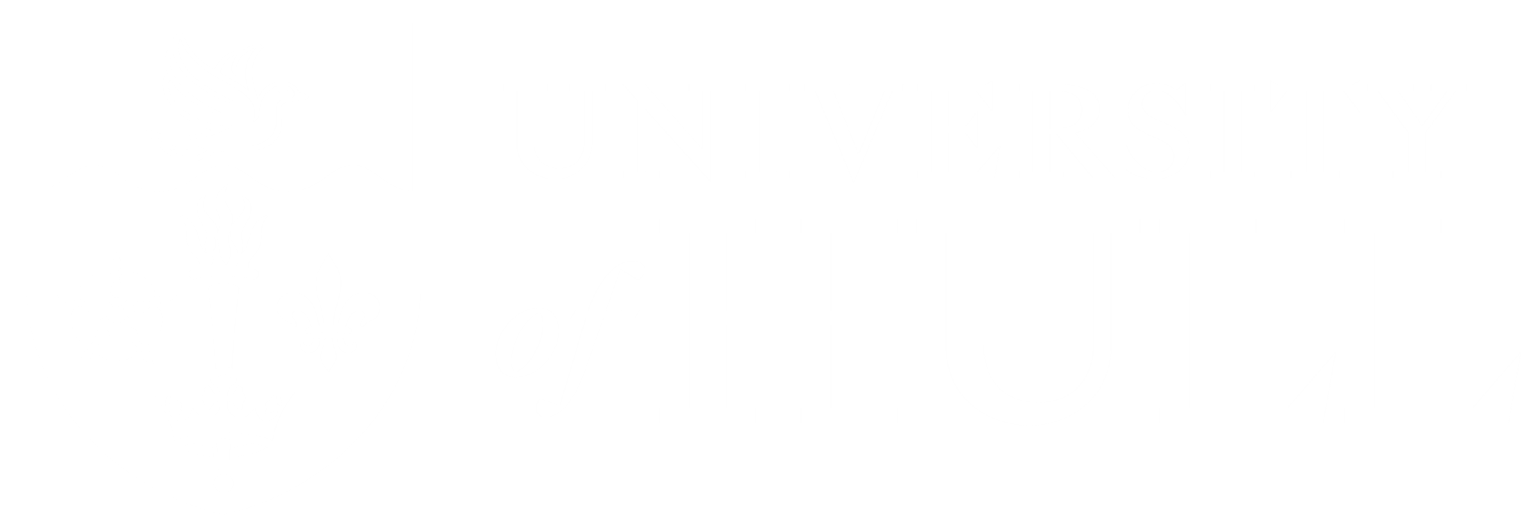 University of Hull's logo